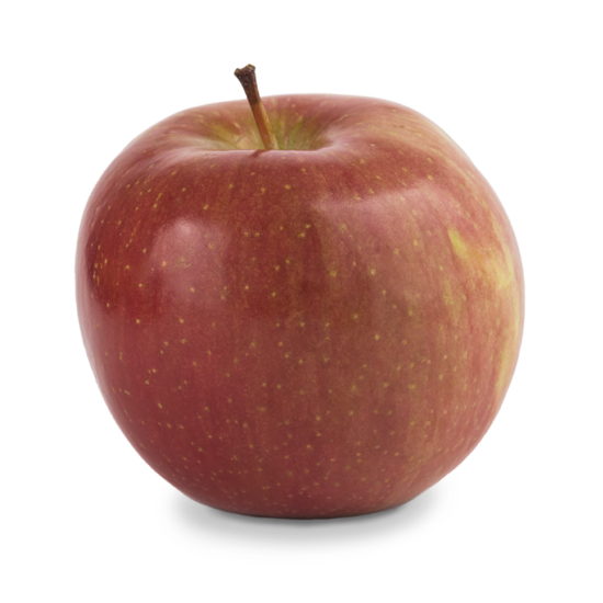 fuji apple