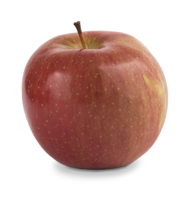 fuji apple