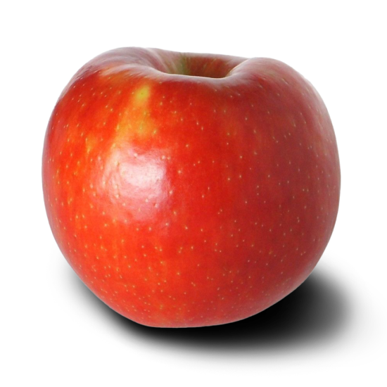 Hunnyz Apple