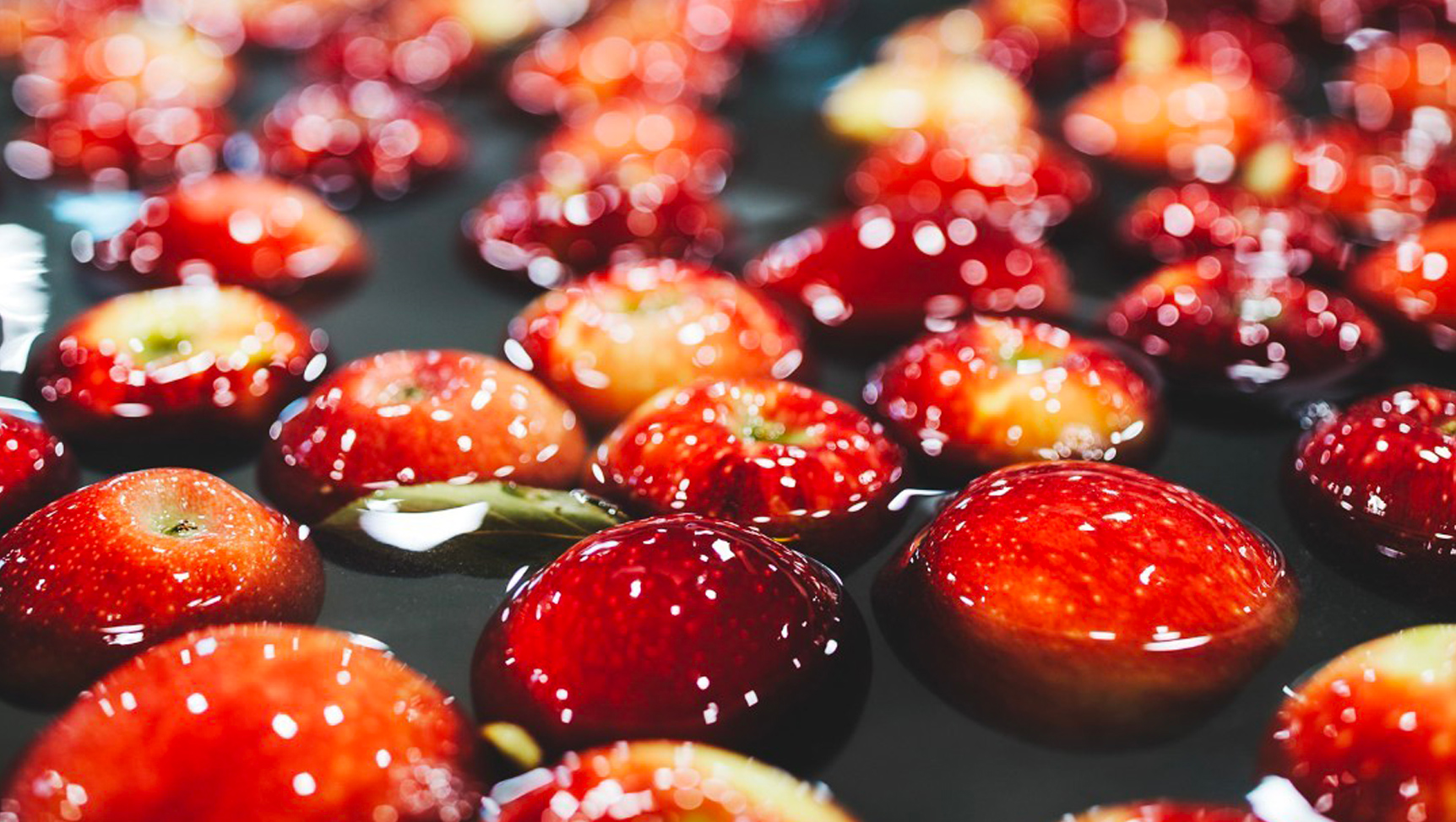 Gloss red Washington apples floating in water